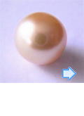 ゴールドパール 9.85ミリ