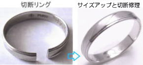 wց@ؒfCƃTCYAbv@΍H[Ȃ